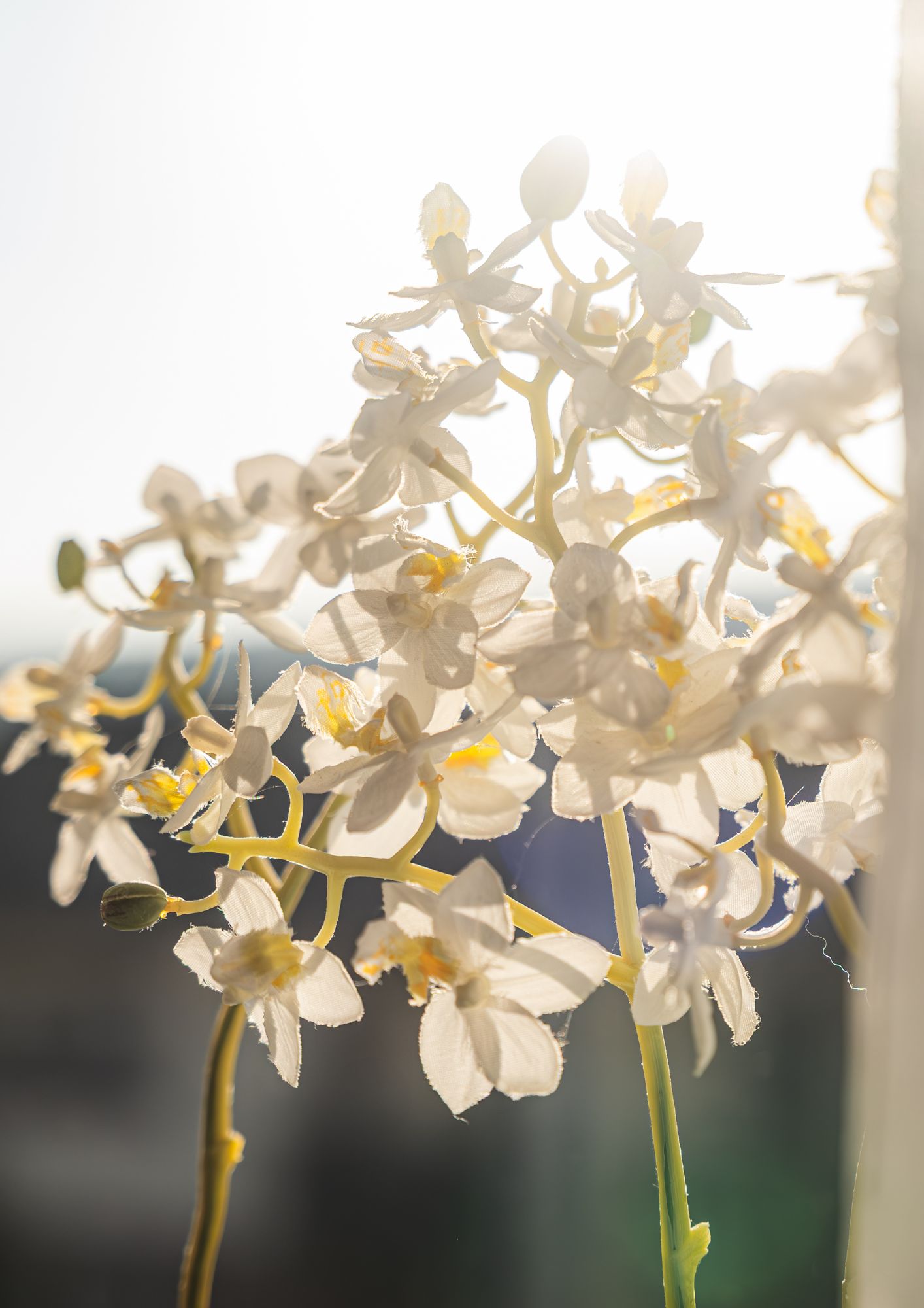 Die rote Couch, Praxis für Psychotherapie, Paar-& Sexualtherapie | Mag. Jutta Mikats-Judex | Eisenstadt