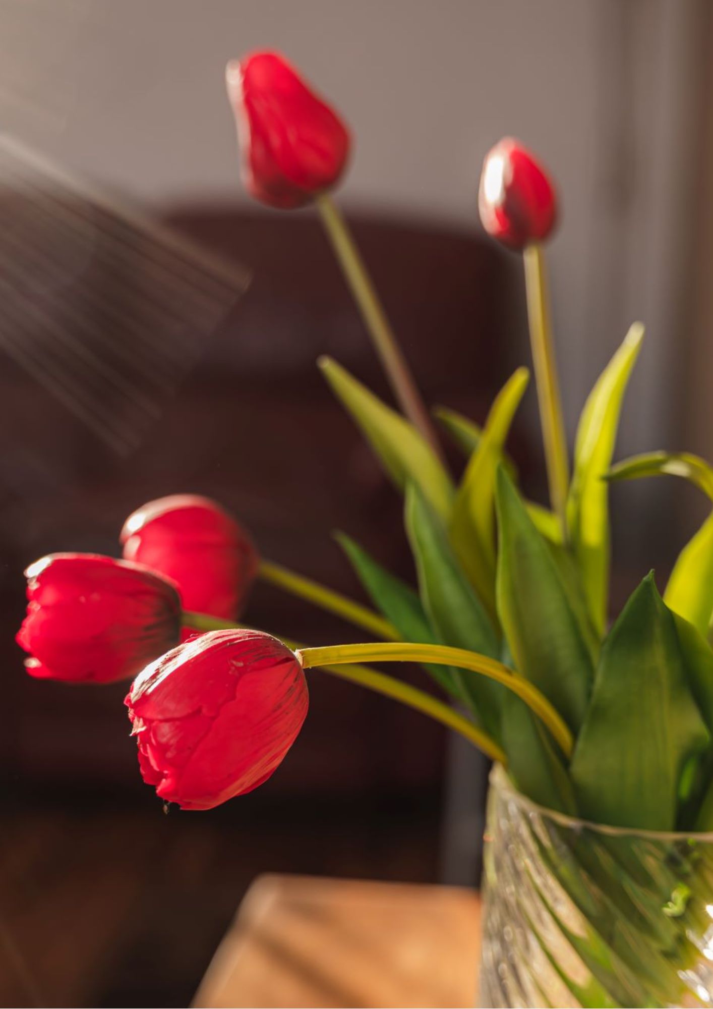 Psychotherapie - Die rote Couch, Praxis für Psychotherapie, Paar-& Sexualtherapie | Mag. Jutta Mikats-Judex | Eisenstadt